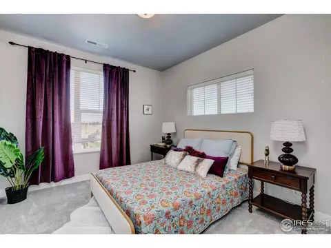 6781 Maple Leaf Dr, Timnath, CO 80547 photo 20