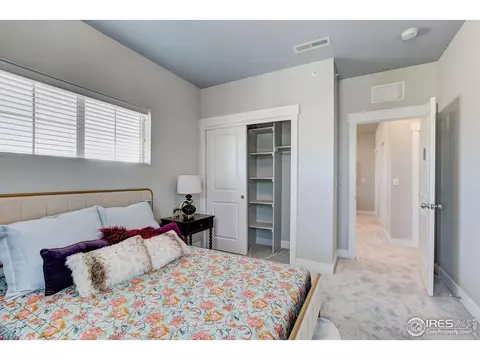 6781 Maple Leaf Dr, Timnath, CO 80547 photo 21