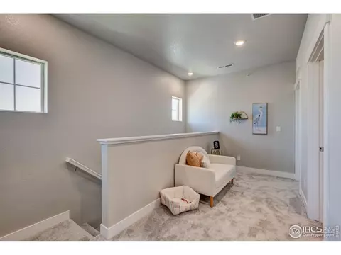 6781 Maple Leaf Dr, Timnath, CO 80547 photo 22