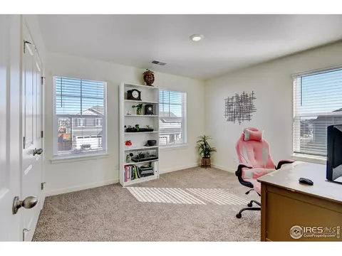 1231 Lily Mountain Rd, Windsor, CO 80550 photo 24