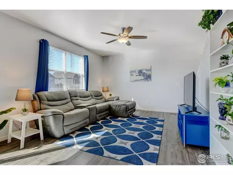 1231 Lily Mountain Rd, Windsor, CO 80550 photo 10