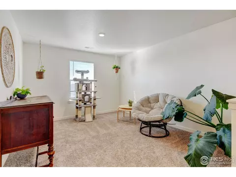 1231 Lily Mountain Rd, Windsor, CO 80550 photo 28