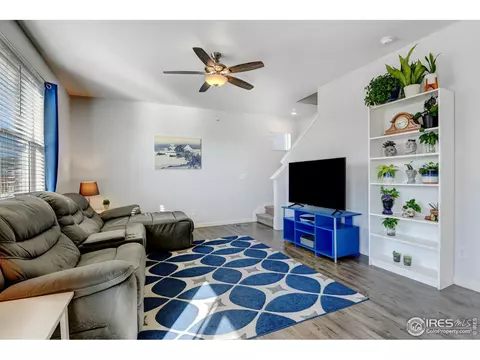 1231 Lily Mountain Rd, Windsor, CO 80550 photo 9