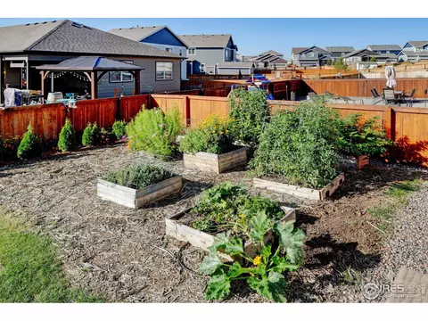 1231 Lily Mountain Rd, Windsor, CO 80550 photo 33