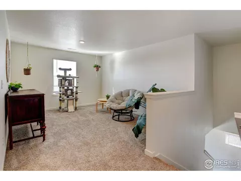 1231 Lily Mountain Rd, Windsor, CO 80550 photo 27