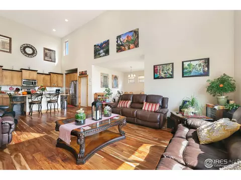 133 Veronica Dr, Windsor, CO 80550 photo 9