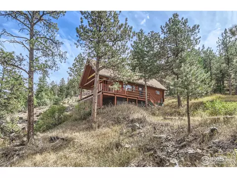 466 Arapahoe Ct, Lyons, CO 80540 photo 5