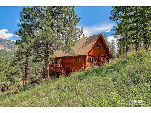 466 Arapahoe Ct, Lyons, CO 80540 photo 30