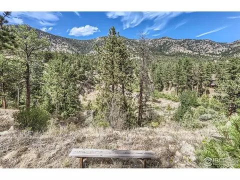 466 Arapahoe Ct, Lyons, CO 80540 photo 28
