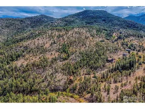 466 Arapahoe Ct, Lyons, CO 80540 photo 8