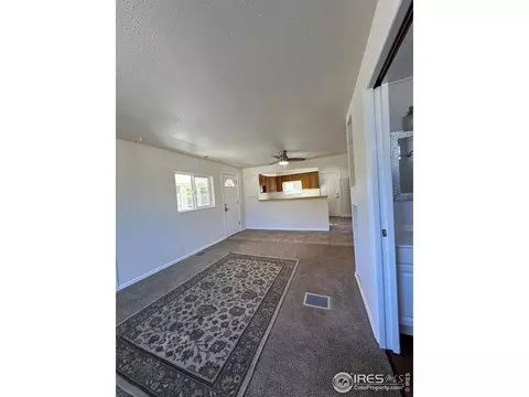1027 4th Ave, Lyons, CO 80540 photo 7