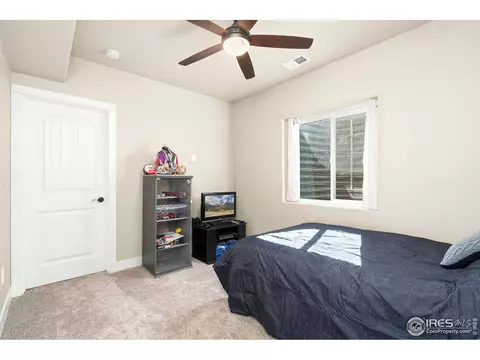 879 Sunlight Peak Dr, Windsor, CO 80550 photo 30