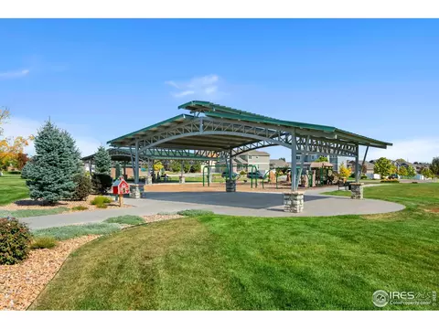 879 Sunlight Peak Dr, Windsor, CO 80550 photo 37