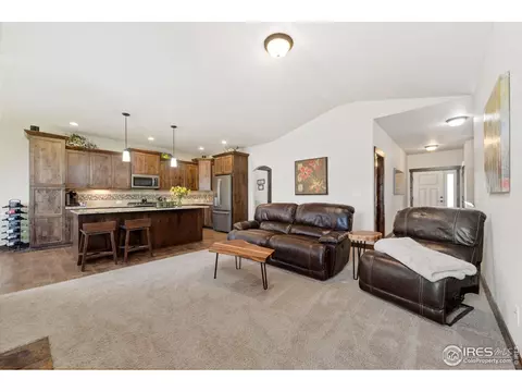 5109 Long Dr, Timnath, CO 80547 photo 11