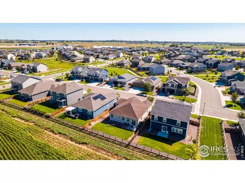 864 Camberly Dr, Windsor, CO 80550 photo 27