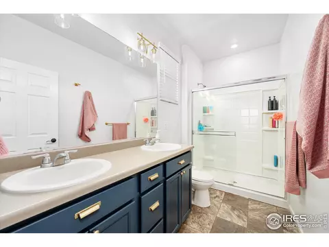 864 Camberly Dr, Windsor, CO 80550 photo 22
