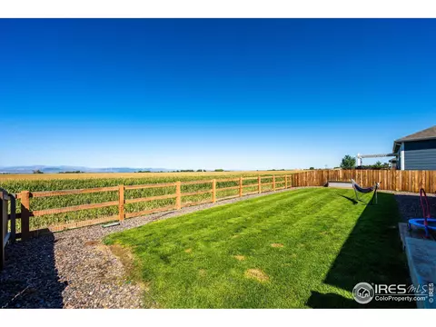 864 Camberly Dr, Windsor, CO 80550 photo 31
