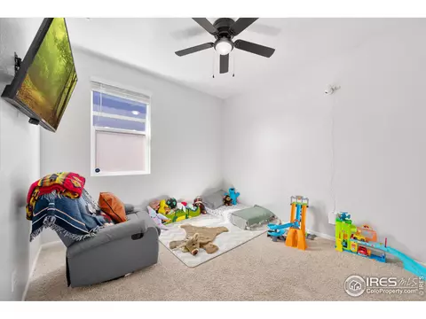 864 Camberly Dr, Windsor, CO 80550 photo 20