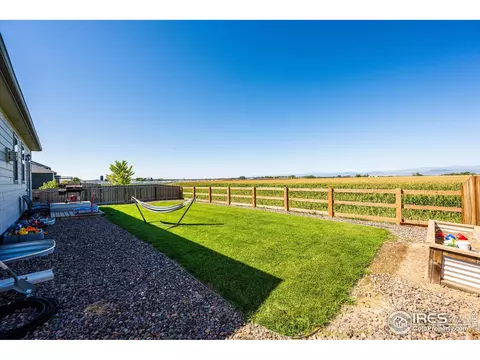 864 Camberly Dr, Windsor, CO 80550 photo 30