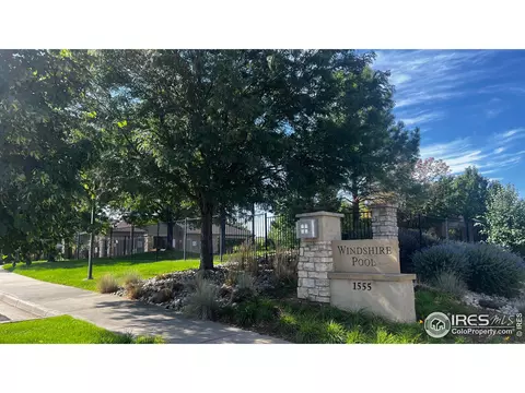 864 Camberly Dr, Windsor, CO 80550 photo 37