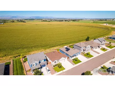 864 Camberly Dr, Windsor, CO 80550 photo 33