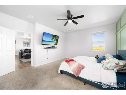 864 Camberly Dr, Windsor, CO 80550 photo 17