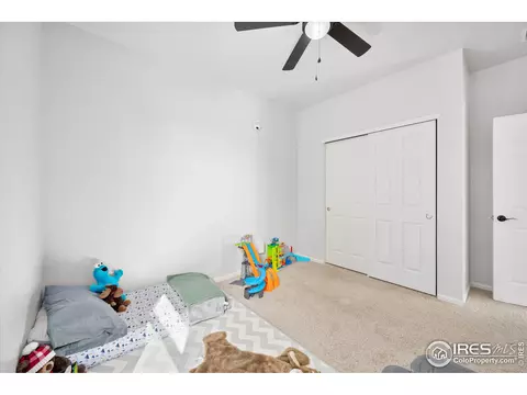 864 Camberly Dr, Windsor, CO 80550 photo 21