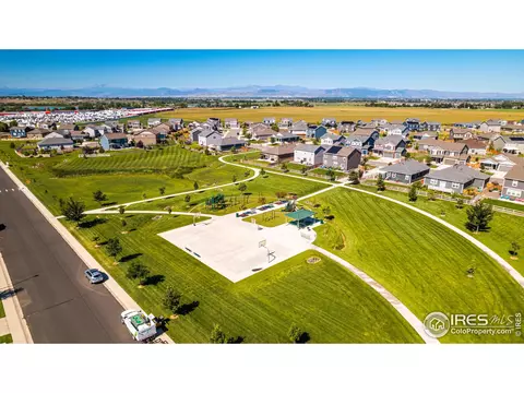 864 Camberly Dr, Windsor, CO 80550 photo 36