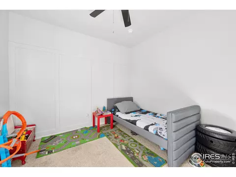 864 Camberly Dr, Windsor, CO 80550 photo 19