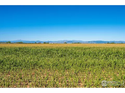 864 Camberly Dr, Windsor, CO 80550 photo 32