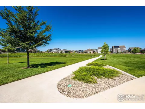 864 Camberly Dr, Windsor, CO 80550 photo 39