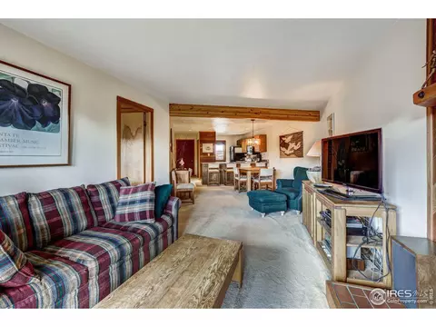 9430 Ryan Gulch #4-9443, Silverthorne, CO 80498