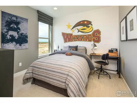 2132 Glean Ct, Windsor, CO 80550 photo 14