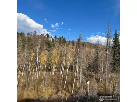 11 Monument Gulch Way, Bellvue, CO 80512