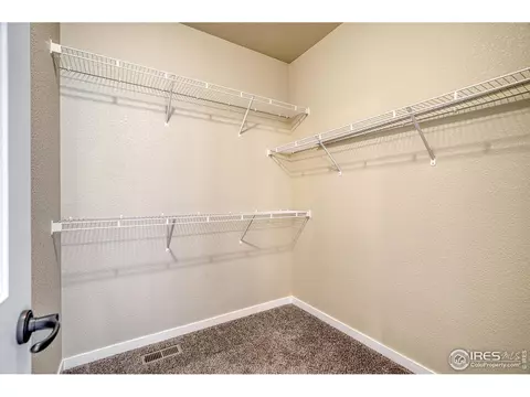 648 Foxtail Way, Windsor, CO 80550 photo 22