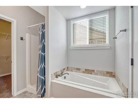 648 Foxtail Way, Windsor, CO 80550 photo 21