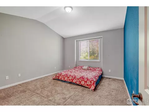 648 Foxtail Way, Windsor, CO 80550 photo 17