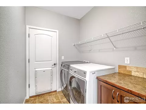 648 Foxtail Way, Windsor, CO 80550 photo 16