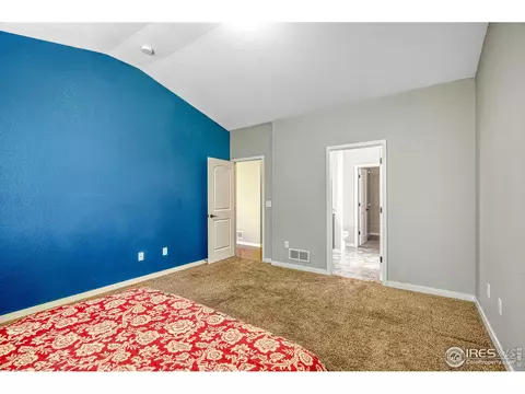 648 Foxtail Way, Windsor, CO 80550 photo 18