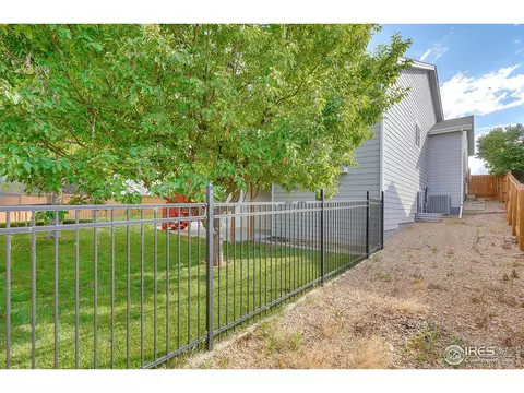 648 Foxtail Way, Windsor, CO 80550 photo 30