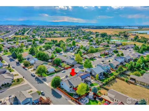 648 Foxtail Way, Windsor, CO 80550 photo 33