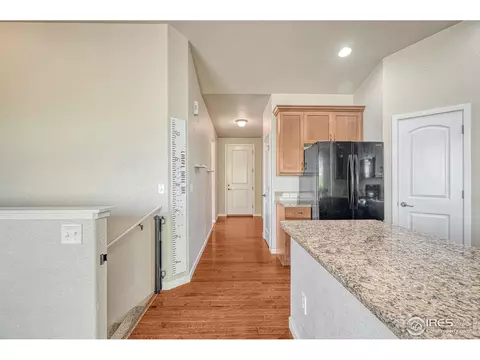 648 Foxtail Way, Windsor, CO 80550 photo 3