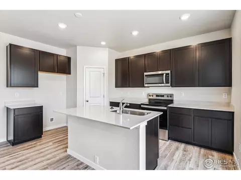 4455 Trader St, Timnath, CO 80547 photo 21