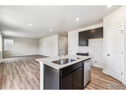 4455 Trader St, Timnath, CO 80547 photo 22