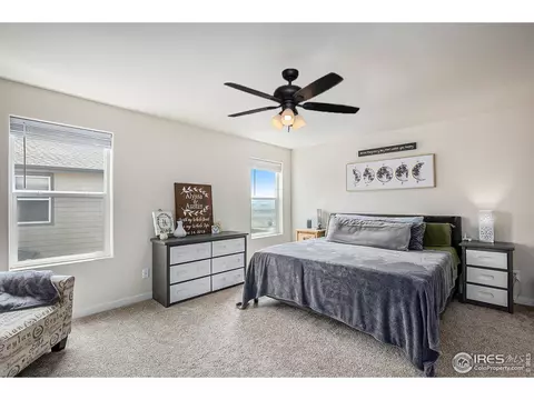 1251 Wild Basin Rd, Windsor, CO 80550 photo 9