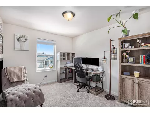 1251 Wild Basin Rd, Windsor, CO 80550 photo 15