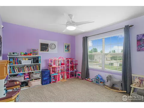 10262 Eastview St, Firestone, CO 80504 photo 20