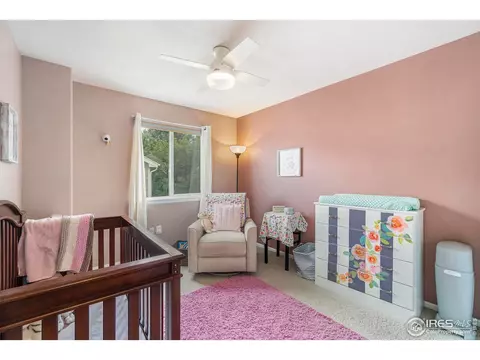 10262 Eastview St, Firestone, CO 80504 photo 18