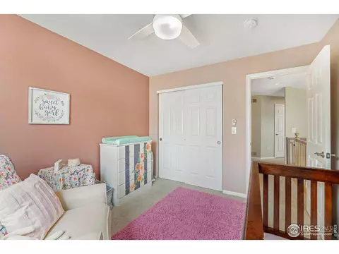 10262 Eastview St, Firestone, CO 80504 photo 19