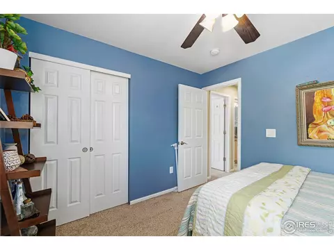 10262 Eastview St, Firestone, CO 80504 photo 16